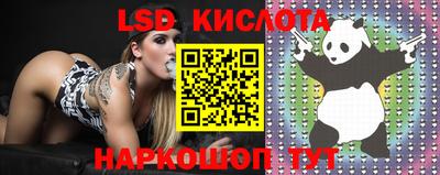 спиды Берёзовский