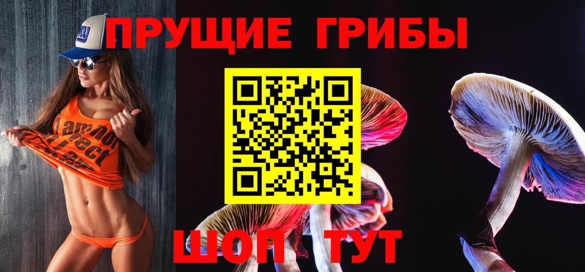 Канаш  Галлюциногенные грибы MAGIC MUSHROOMS  Вход с VPN 
