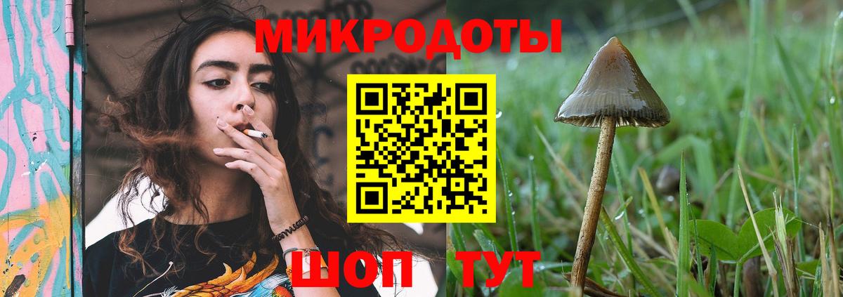Псилоцибиновые грибы мухоморы Канаш